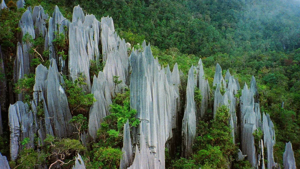 Gunung Mulu Sarawak