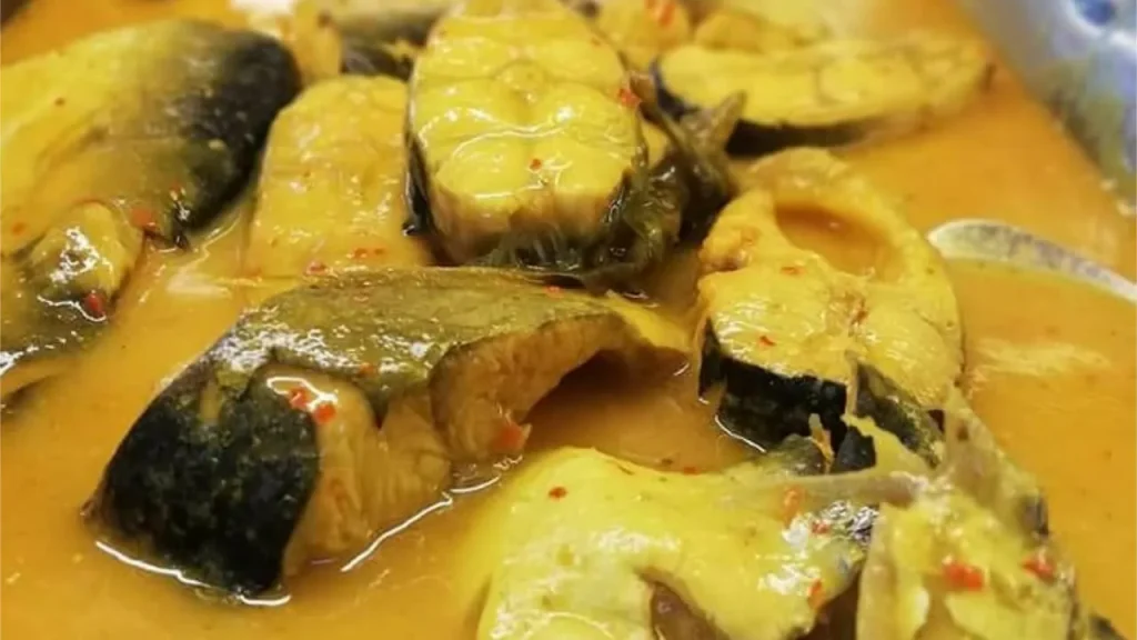 resepi ikan patin masak tempoyak