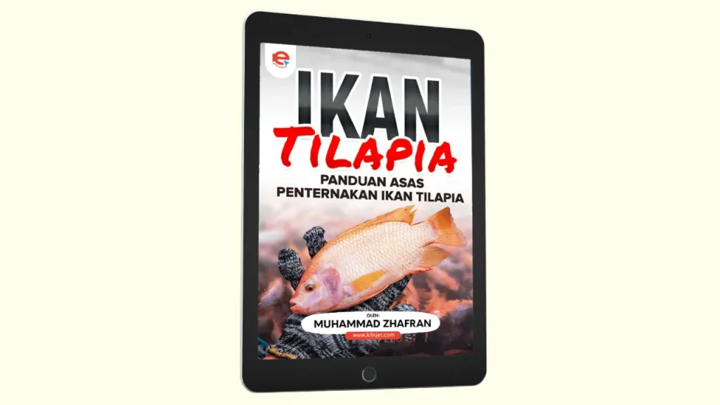 cara bela ikan tilapia