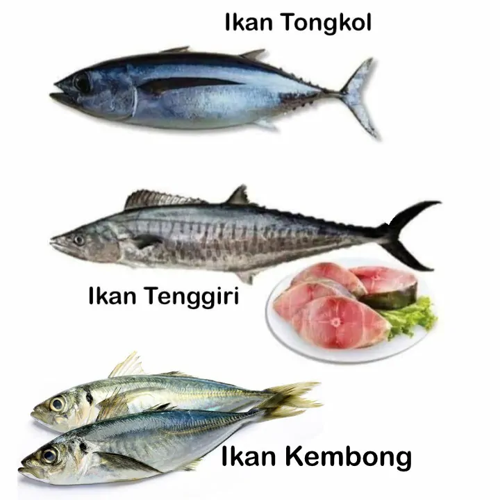 jenis ikan di pasar