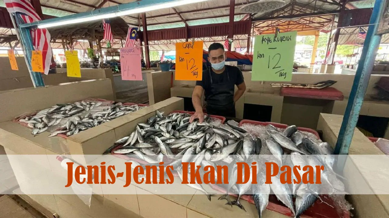 kenali jenis ikan di pasar