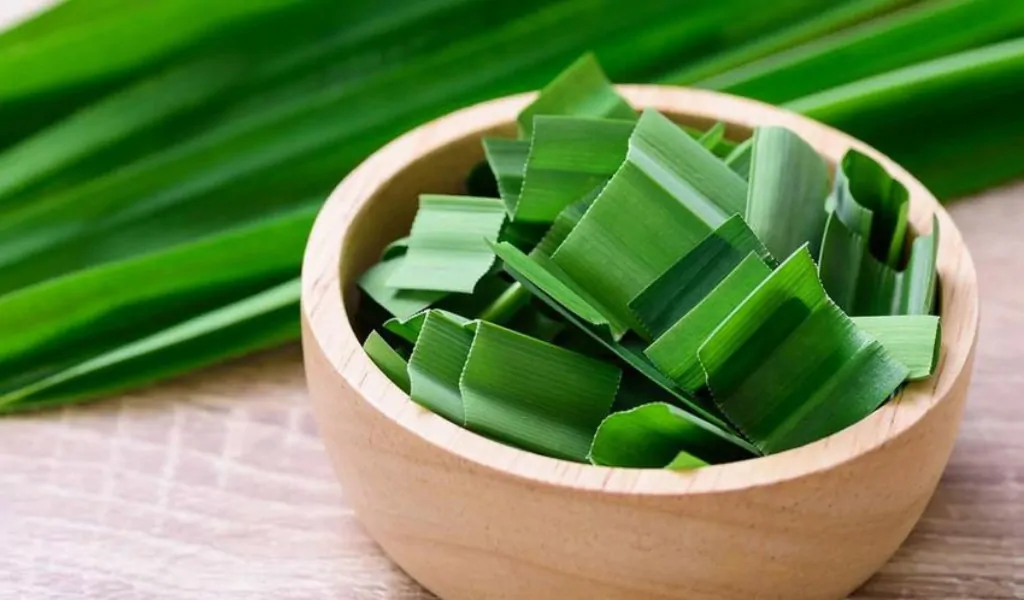 daun pandan