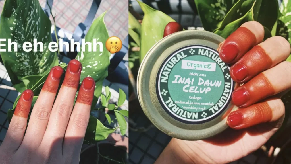 inai pengantin majlis perkahwinan