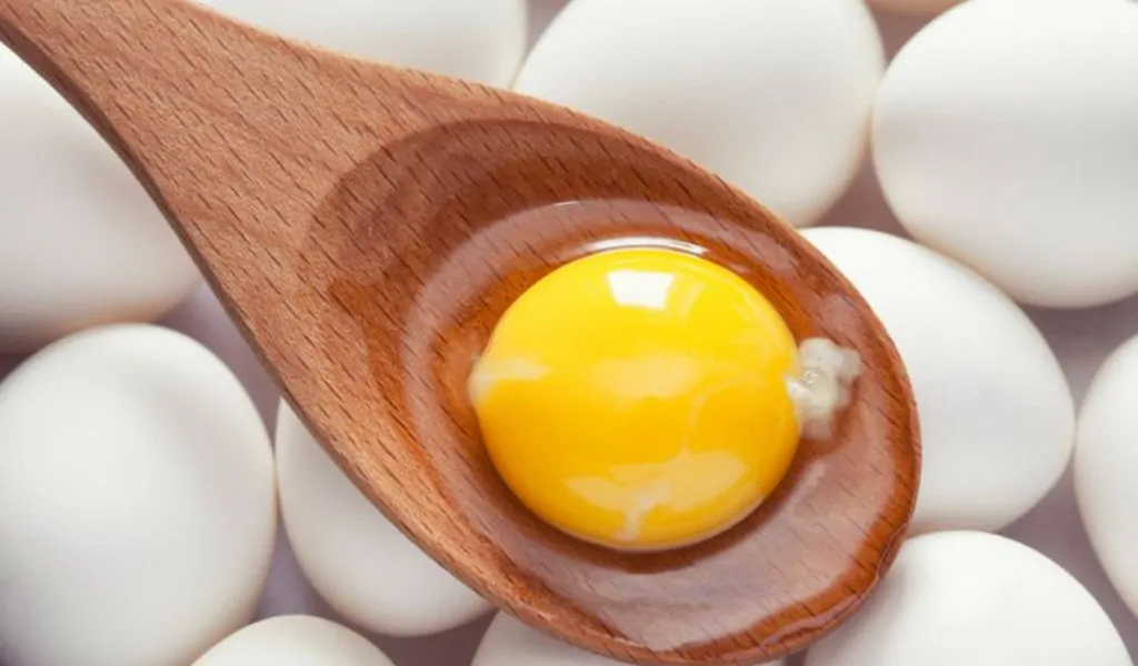 kuning telur