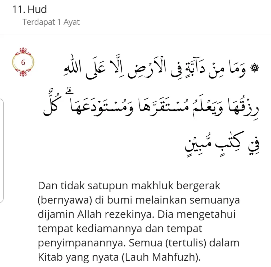 Surah Hud (Ayat 6)